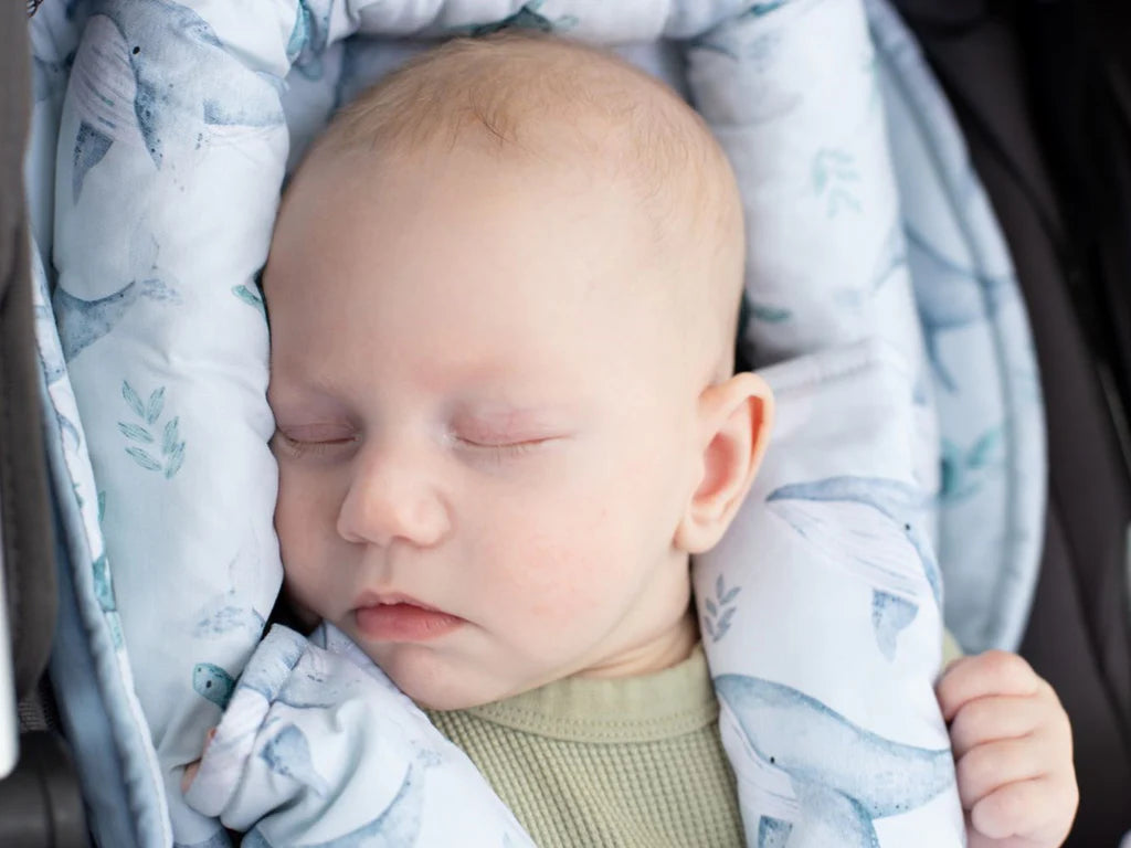 Bambella Designs / Infant Head Support - Turtle Bay