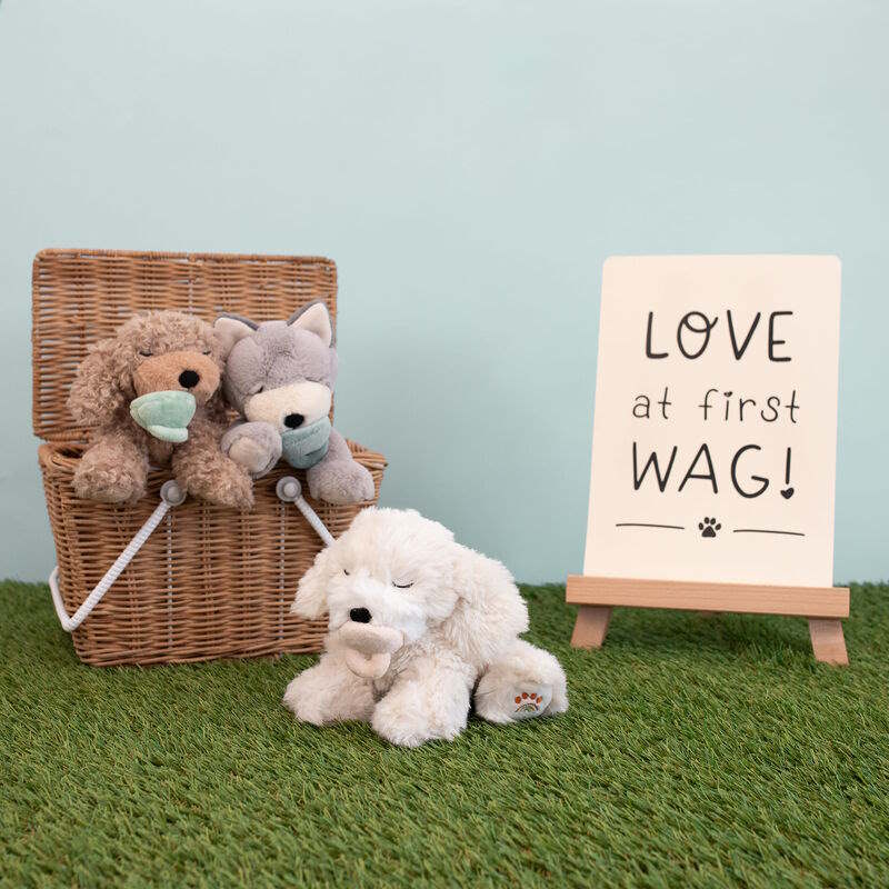 Olli Ella / Binky Puppy -  Belle