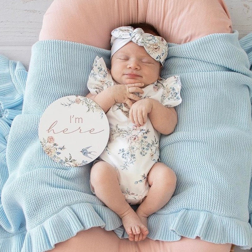 Snuggle Hunny / Reversible Milestone Cards - Sweet Swallows