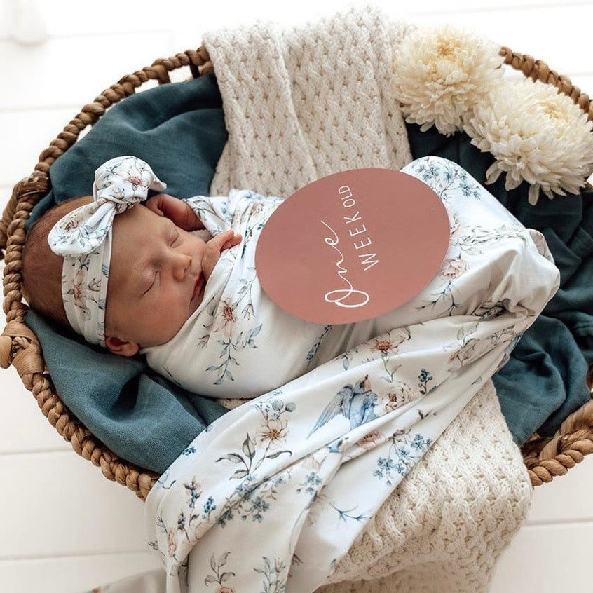 Snuggle Hunny / Reversible Milestone Cards - Sweet Swallows
