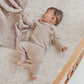 Aster & Oak / Sand Fleck Knit Pants