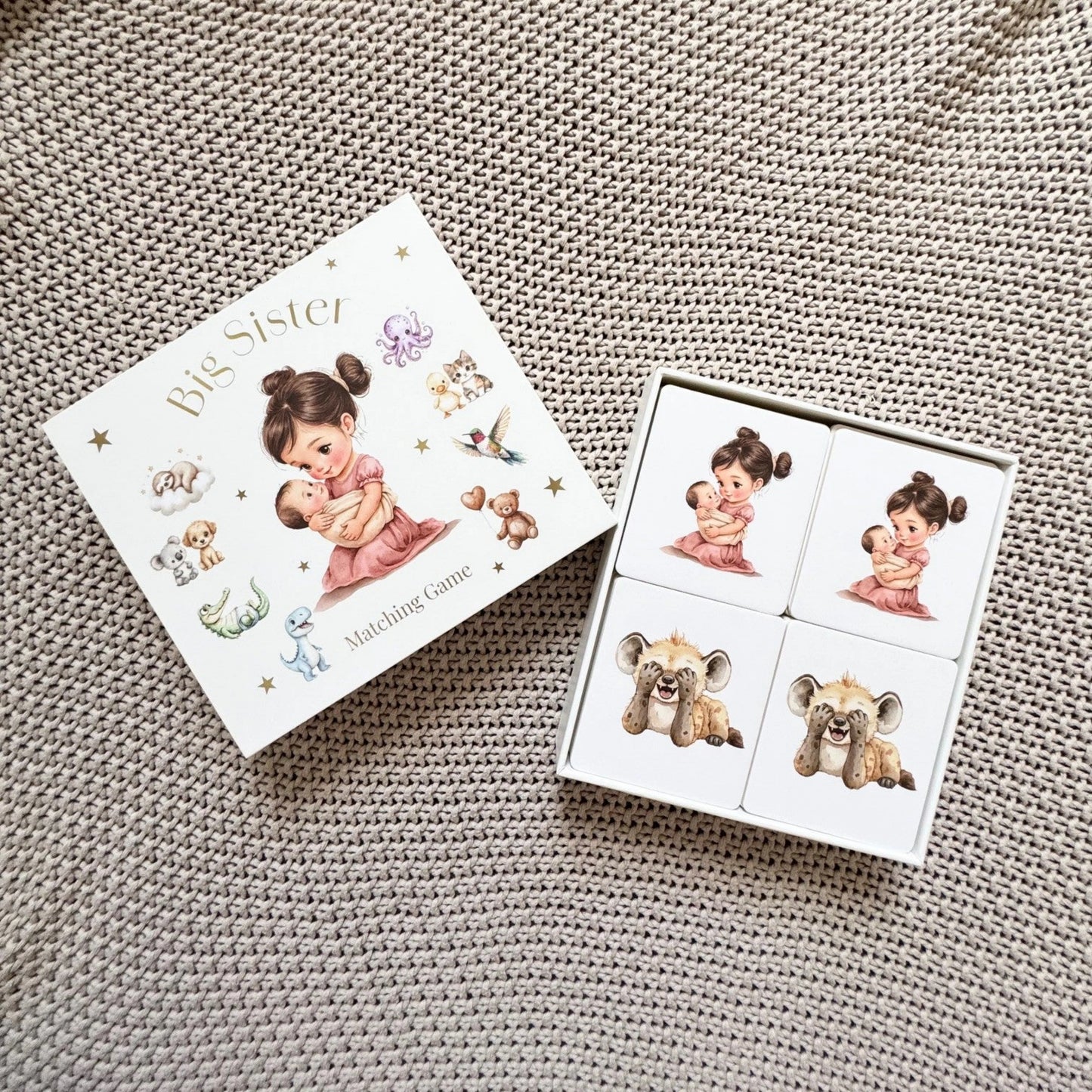 Little Love Chapters / Big Sister Matching Game