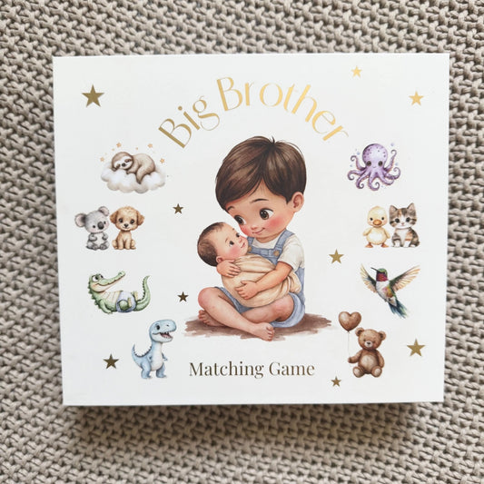 Little Love Chapters / Big Brother Matching Game
