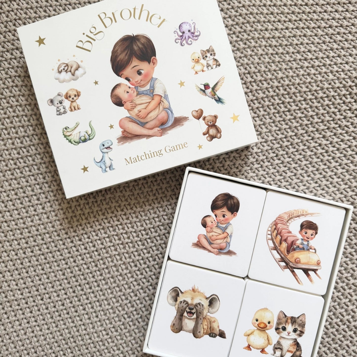 Little Love Chapters / Big Brother Matching Game