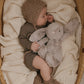 Jamie Kay / Snuggle Bunnies / 30cm Penelope The Bunny - Beige