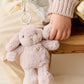Jamie Kay / Snuggle Bunnies / Penelope Key Charm - Violet