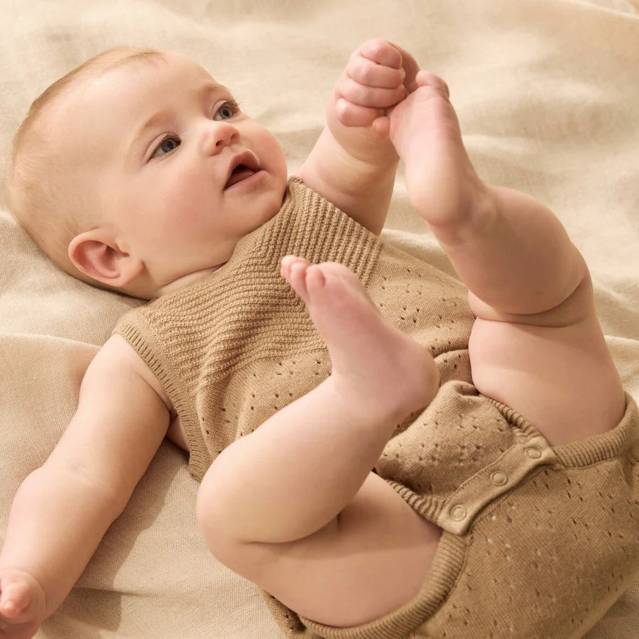 Wilson & Frenchy / Oat Organic Knitted Bodysuit