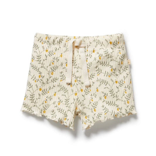 Wilson & Frenchy / Lemon Leaf Organic Short