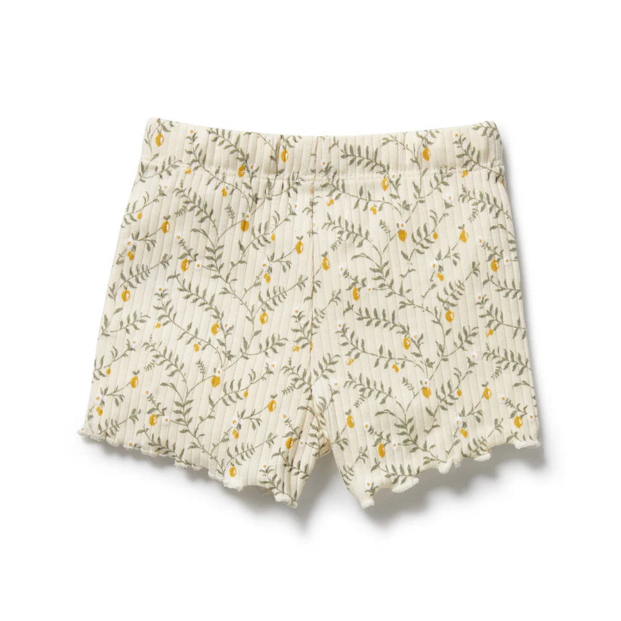 Wilson & Frenchy / Lemon Leaf Organic Short