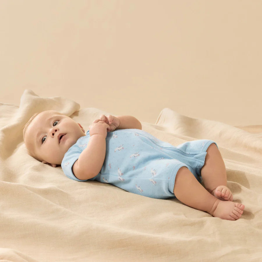 Wilson & Frenchy / Sunny Seagulls Organic Pointelle Boyleg Zipsuit