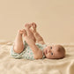 Wilson & Frenchy / Periwinkle Organic Ruffle Zipsuit