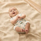 Wilson & Frenchy / Yeti Organic Boyleg Zipsuit