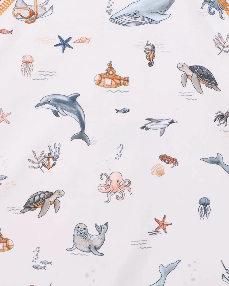 Minihaha Swimwear / Harvey LS Rash Suit