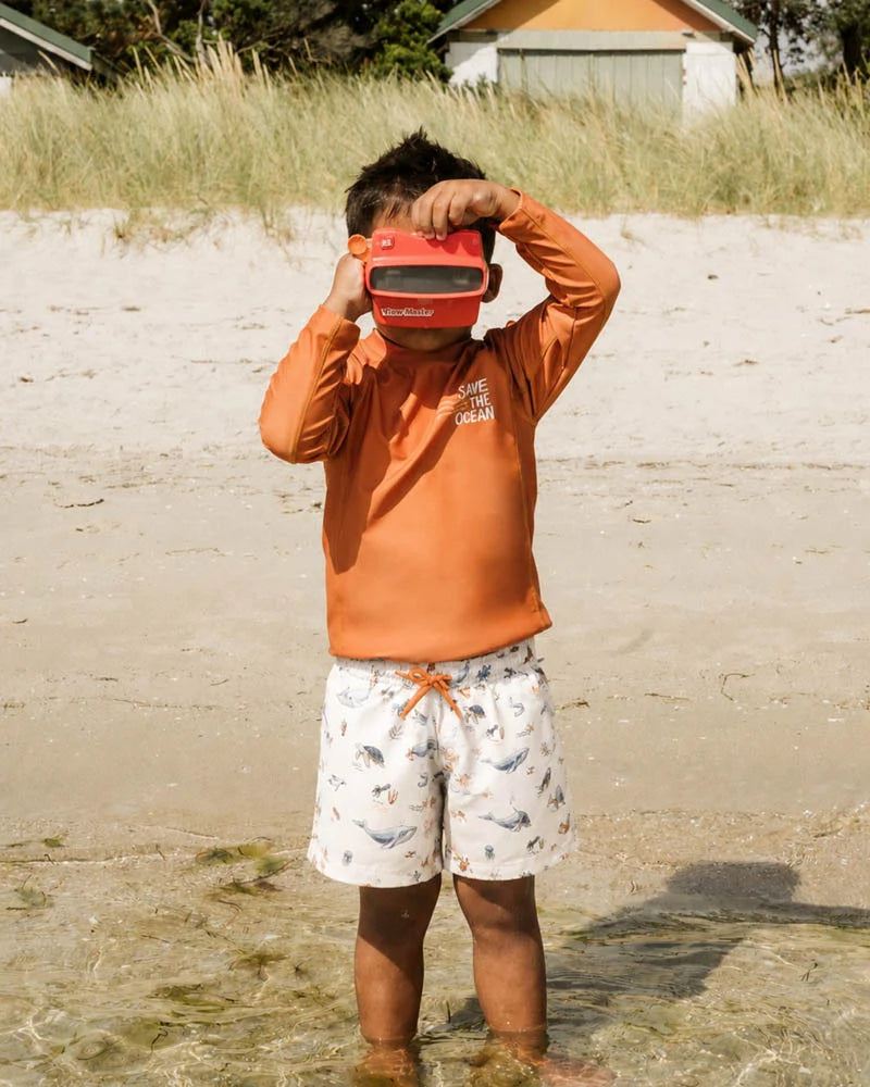 Minihaha Swimwear / Harvey Boardshorts