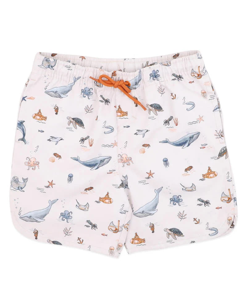 Minihaha Swimwear / Harvey Boardshorts