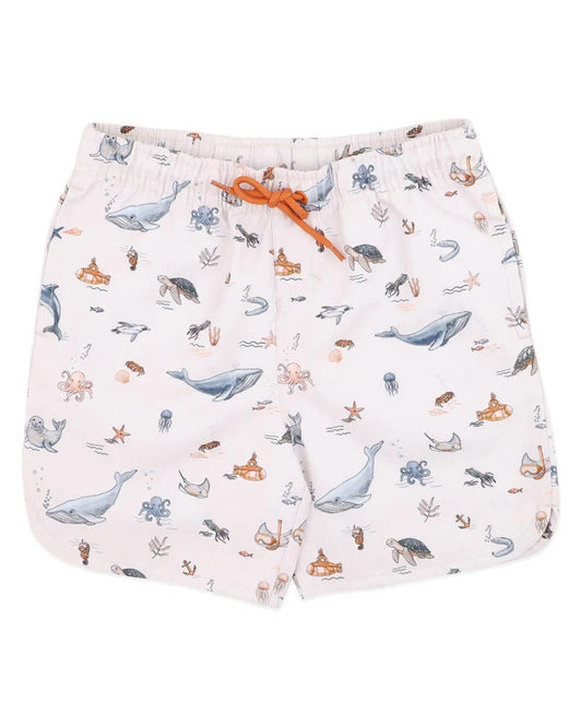 Minihaha Swimwear / Harvey Boardshorts