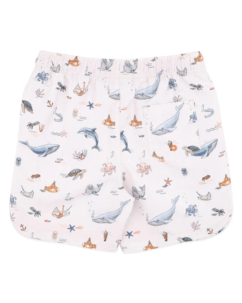 Minihaha Swimwear / Harvey Boardshorts