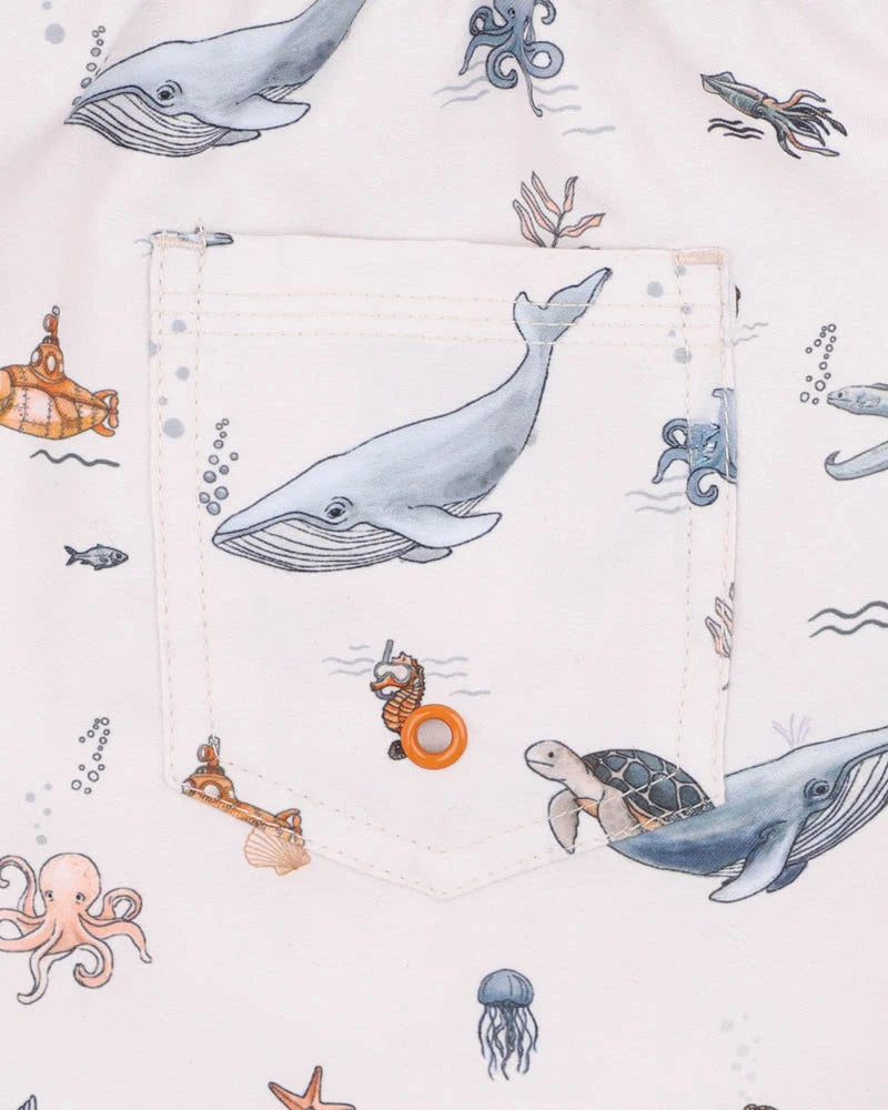Minihaha Swimwear / Harvey Boardshorts