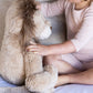 Nana Huchy / Lewis the Lion