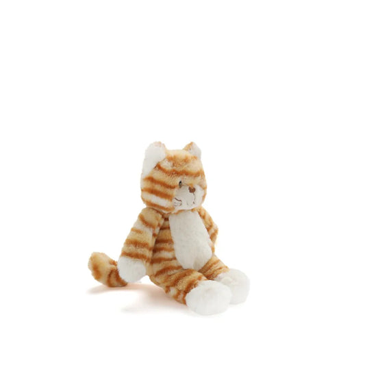 Nana Huchy / Ginger the Kitten