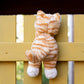 Nana Huchy / Ginger the Kitten