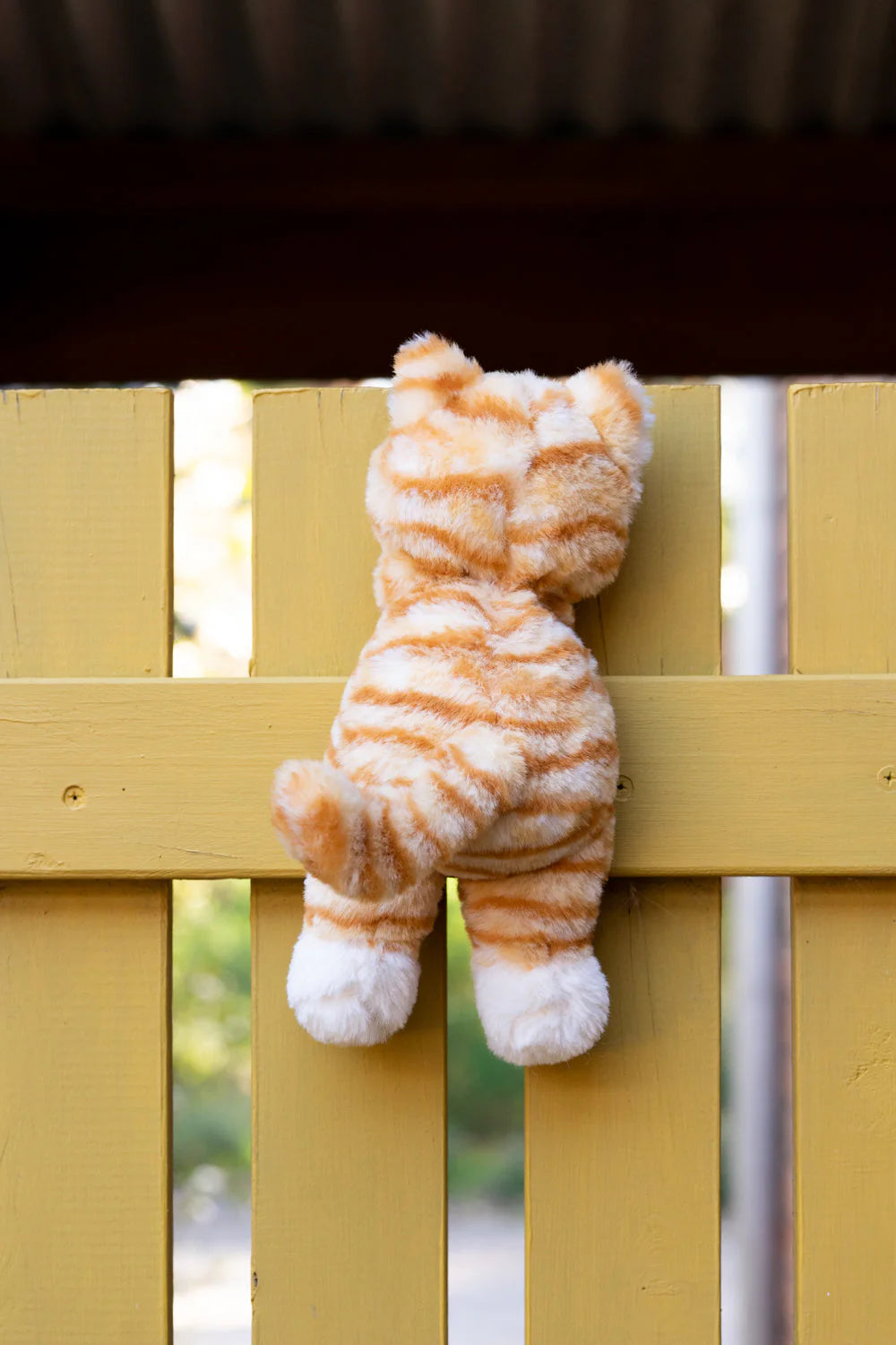 Nana Huchy / Ginger the Kitten