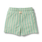 Wilson & Frenchy / Seafoam Stripe Organic Terry Short