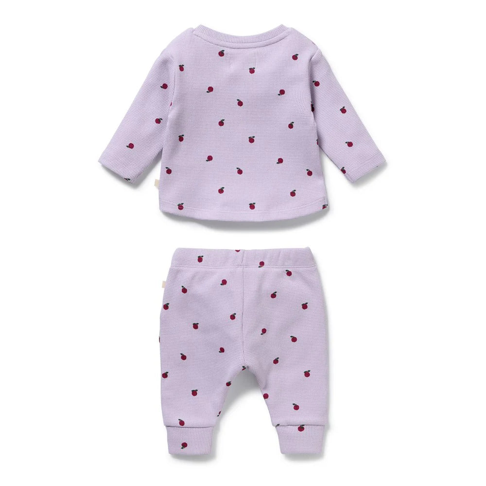 Wilson & Frenchy / Berry Plums Organic Waffle Set