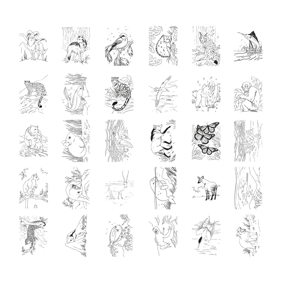 Kidydraw Pad / Animals