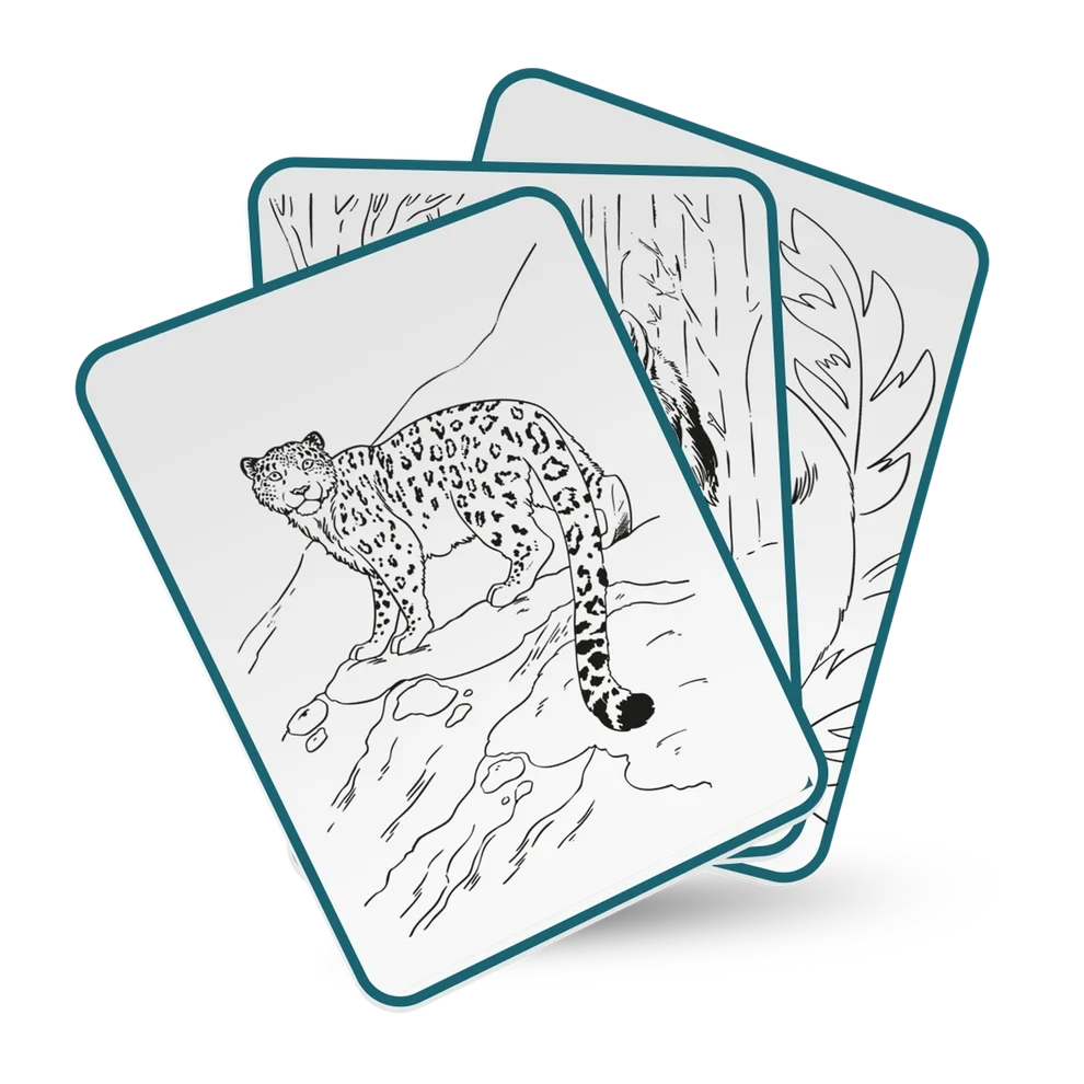 Kidydraw Pad / Animals