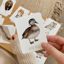 Modern Monty / Snap & Go Fish Cards