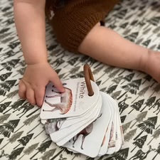 Modern Monty / Ringed Flash Cards
