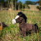 Nana Huchy / Thunder The Horse