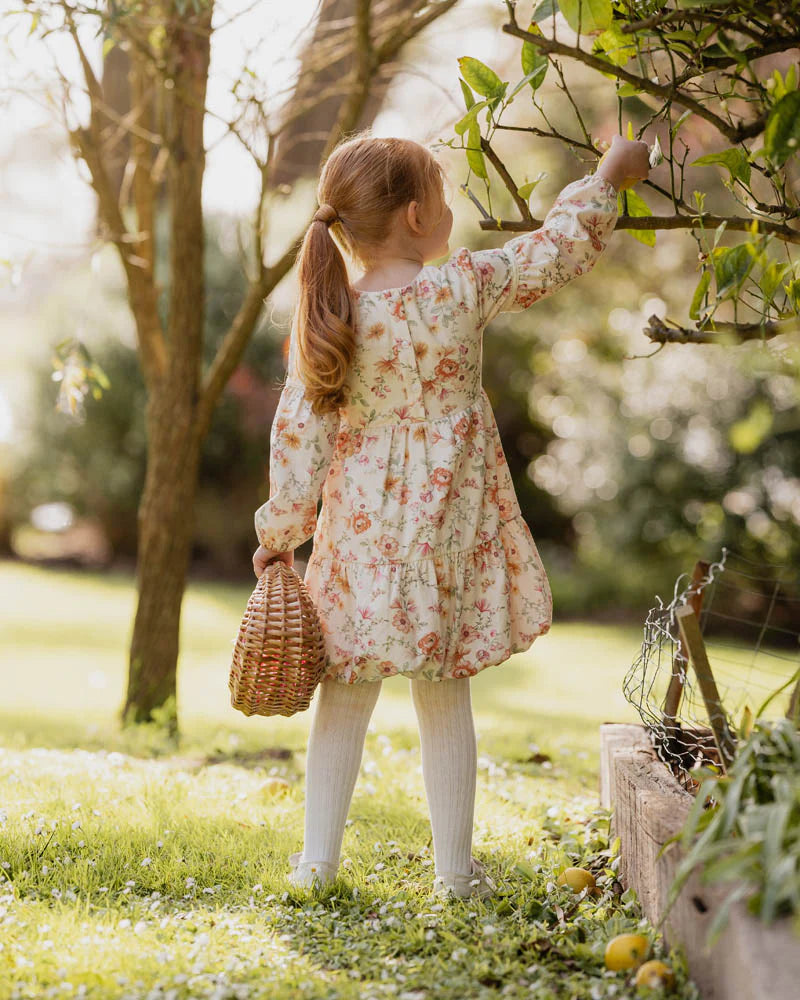 Bebe By Minihaha / Emmy Print Organic Dress