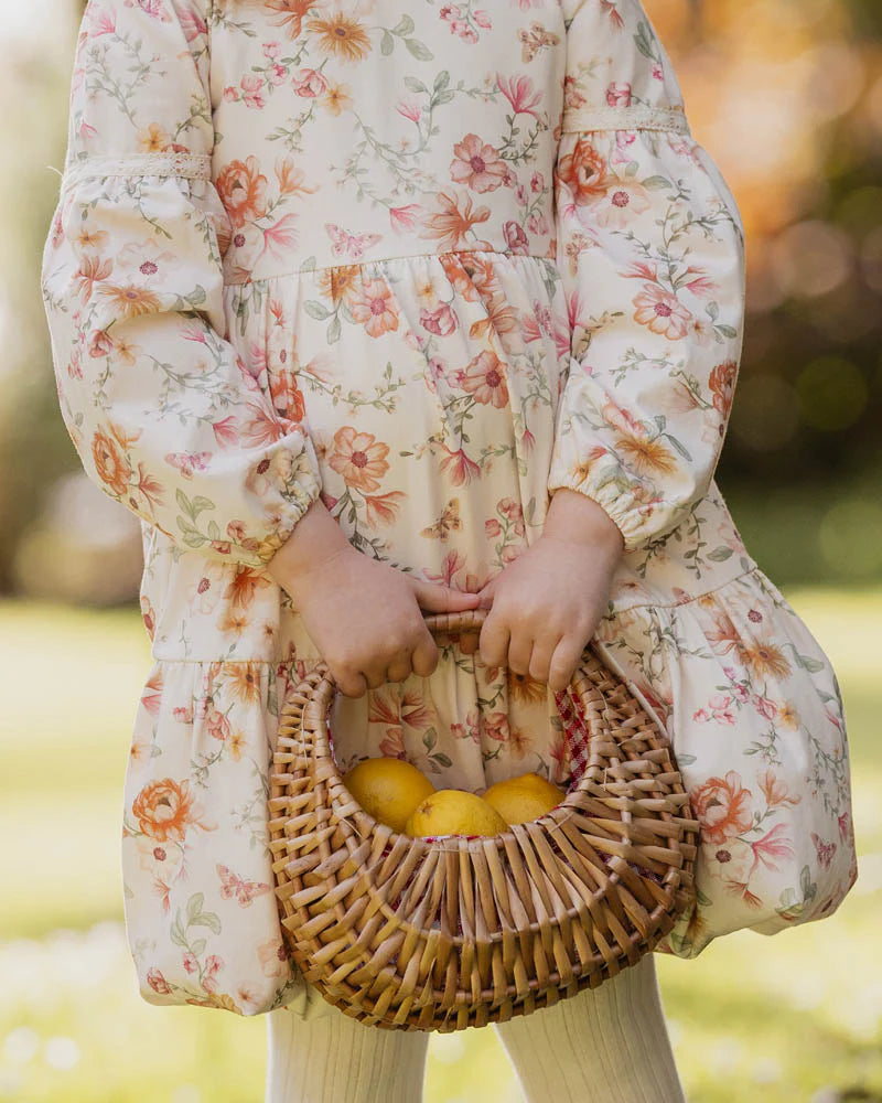 Bebe By Minihaha / Emmy Print Organic Dress