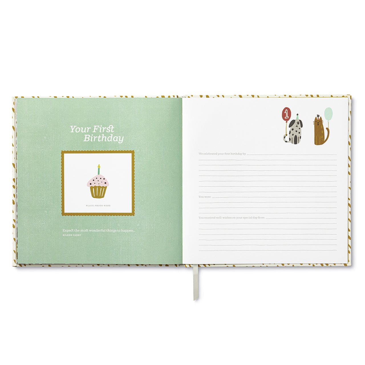 You're Here / A Keepsake Baby Book