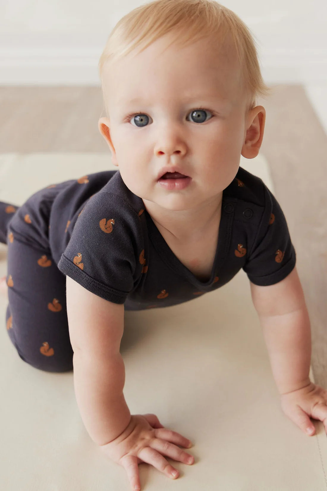 Jamie Kay / Hudson Short Sleeve Bodysuit - Fox Cubs Constellation
