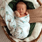 Snuggle Hunny / Jersey Wrap Set - Turtle