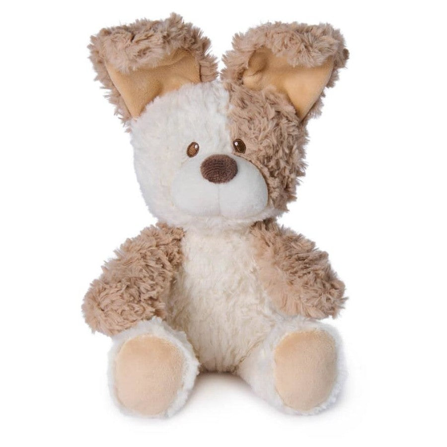 Gund / Handheld Peek-A-Boo Plush -  Peeki the Puppy