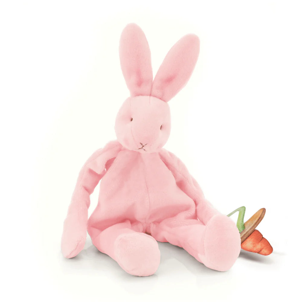 Bunnies By The Bay / Silly Buddy