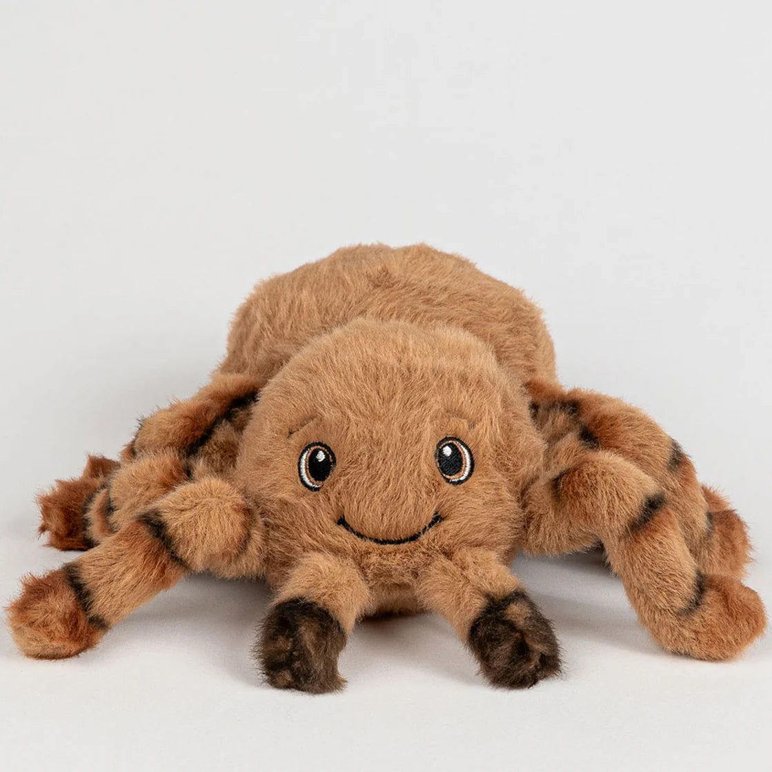 Eco Bubs / Harry the Huntsman Spider