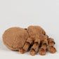 Eco Bubs / Harry the Huntsman Spider