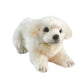 Hansa / Mareema Pup Laying 33cm