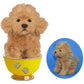Hansa / Toy Poodle Tea Cup 15cm