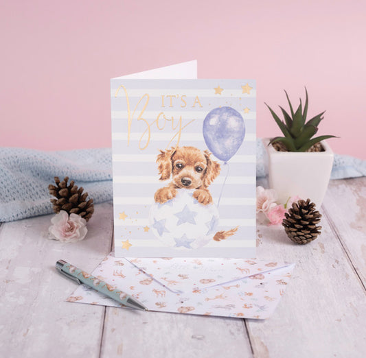 “It's A Boy” Card / Wrendale Designs