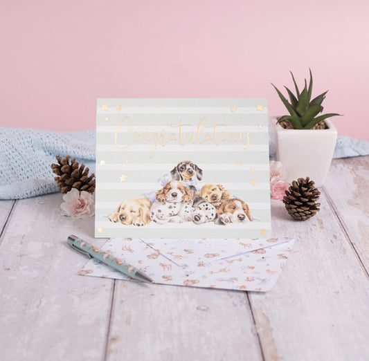 Congratulations Card - Wrendale Designs