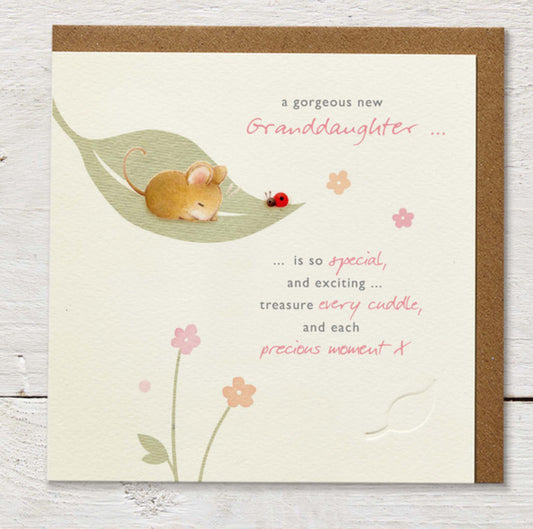 A Gorgeous New Granddaughter - Ginger Betty Design