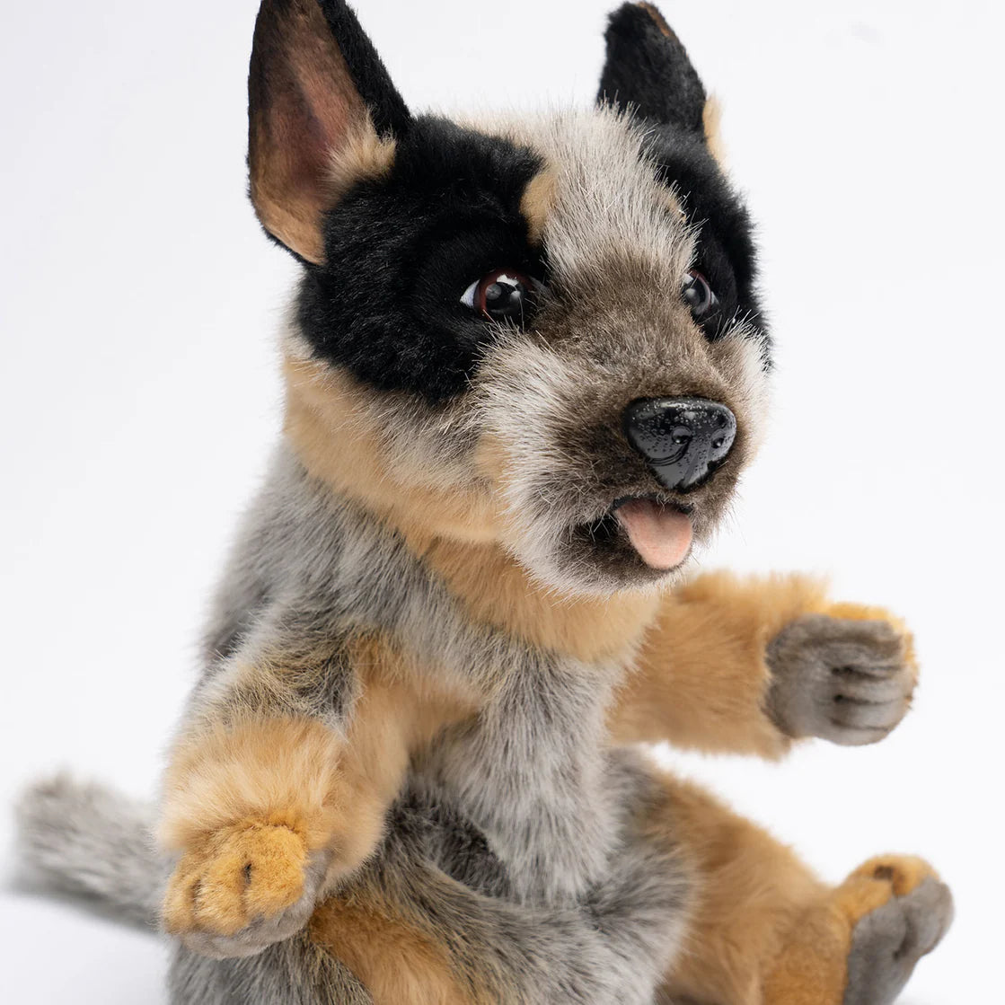Hansa / Puppet - Blue Heeler