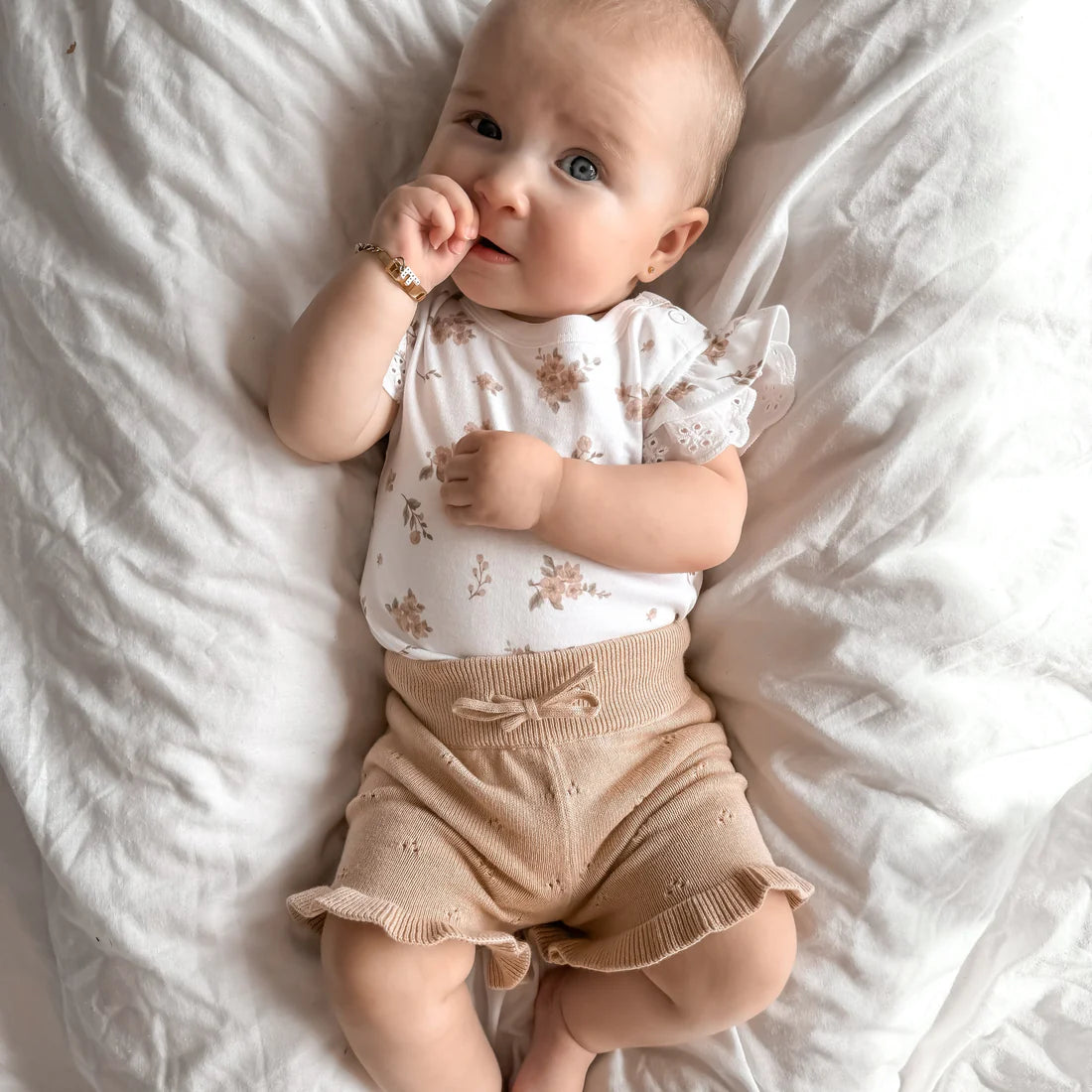 Aster & Oak / Tawny / Knit Shorts