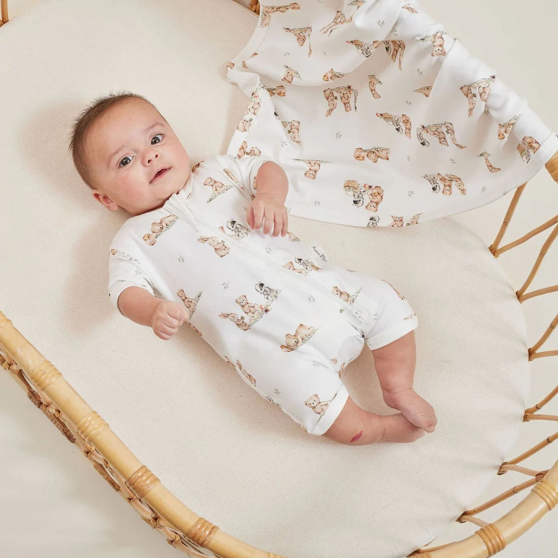 Aster & Oak / Teddy Picnic / Zip Romper